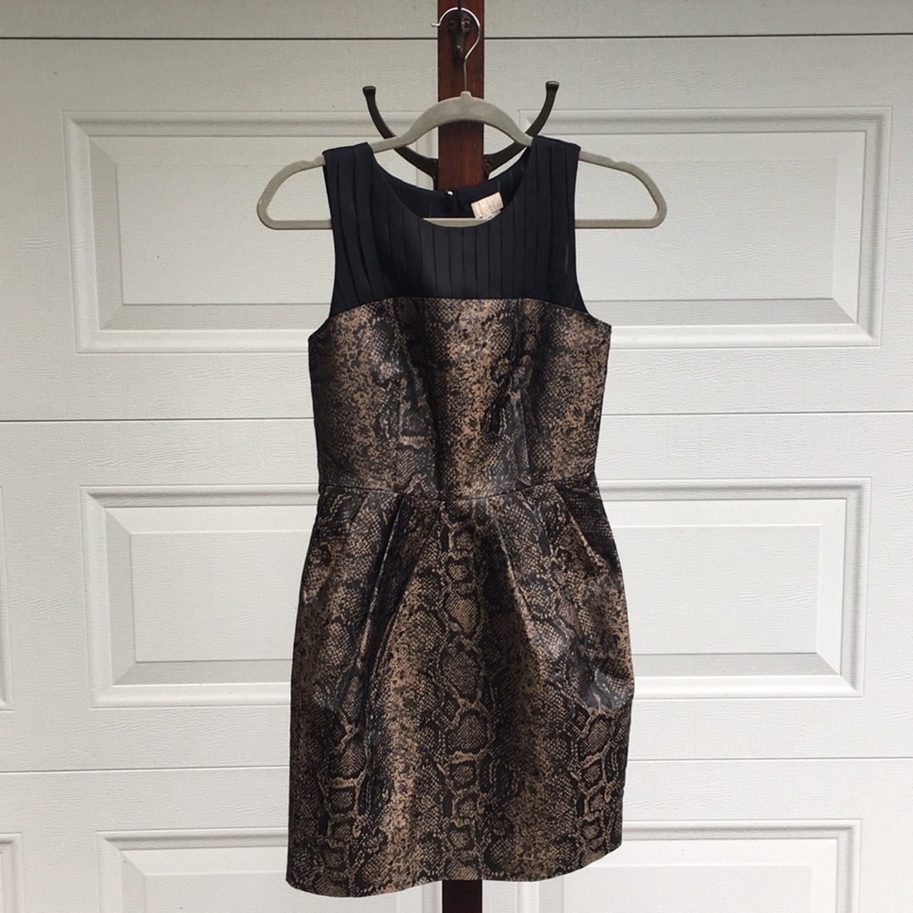 H & M Dress